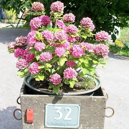 Freiinger *